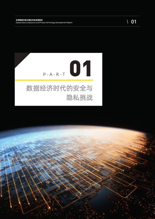 2022全球數據合規(guī)與隱私科技發(fā)展報告—技術開發(fā)篇