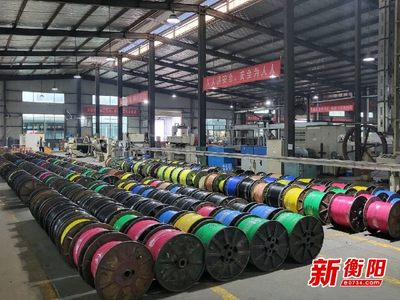 大國重器中的&ldquo;衡陽制造&rdquo;①|(zhì)恒飛電纜:&ldquo;上天入海&rdquo;彰顯制造實(shí)力
